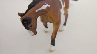 High Tides Breyer Mini Whinnies Movie [upl. by Rairb962]