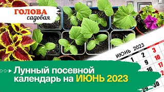 Голова садовая  Лунный посевной календарь на ИЮНЬ 2023 [upl. by Quintin364]