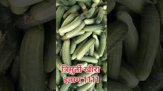 Trimurti seeds 1111  Inam Khira [upl. by Regor453]