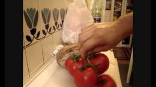 Tomato bruschetta recipe [upl. by Nesnaj]