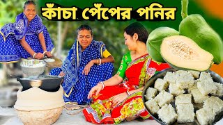 বিনা দুধে ১টা পেঁপে দিয়ে যে এত সুন্দর পনির বানানো যায় না দেখলে বিশ্বাসই হবে না village cooking [upl. by Alexis107]