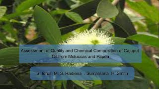 Assessment of Quality and Chemical Composition of Cajuput Oil from Moluccas and Papua [upl. by Naffets]