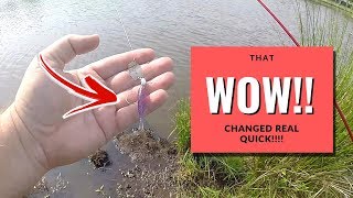 Micro Chatterbait Catches Multi Species [upl. by Caras572]