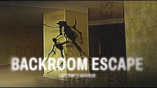 Backroom Escape Labyrinth Horror Review Switch [upl. by Jordison839]