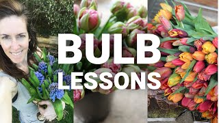 Unboxing my spring bulbs amp talking pros and cons of growing tulips daffodils alliums and more [upl. by Avla125]