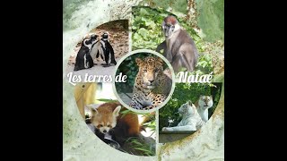 Les terres de Nataé Zoo de PontScorff [upl. by Alih]