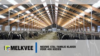 Nieuwe stal familie Klaver voor 400 koeien  wwwmelkveenl [upl. by Abbottson]