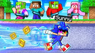 Hunter VS SPEEDRUNNER SONIC in Minecraft [upl. by Timmie917]