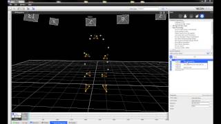 Vicons Nexus 2  Functional Calibration  SCoRE and SARA [upl. by Sandeep]