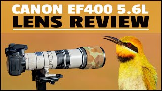 Canon 400 f56L Lens Review  Affordable Light and Super Sharp  Bird Photography Gear Review [upl. by Yllod]