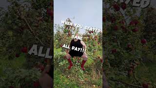 When you stayed sane all day trending funny mentalhealth shortsviral funny funniestvideo fyp [upl. by Littell]