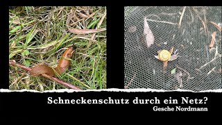 Schneckenschutz durch ein Netz [upl. by Anitsirc929]