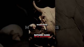 El Salvadors Satanic Gang MS13 [upl. by Durrett]