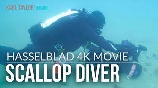 The Making of the Guernsey Scallop Diver Hasselblad 4K Movie [upl. by Naellij]