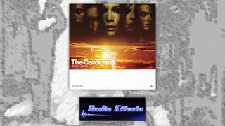 EraseRewind  The Cardigans Radio Edit [upl. by Ettenotna]