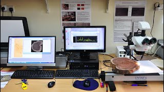 Techniques for Sampling and Analysis in Dendrochronology [upl. by Barling897]