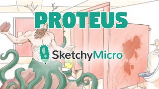 Proteus  SketchyMicro  Sketchy Medical USMLE Step 1 [upl. by Eidahs]