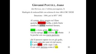 Giovanni Pascoli quotAranoquot 1886 da quotMyricaequot  testo lettura parafrasi analisi e commento [upl. by Angelique]