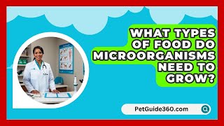 What Types Of Food Do Microorganisms Need To Grow  PetGuide360com [upl. by Nishi71]