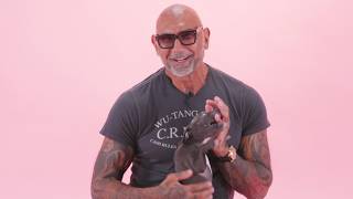 Dave Bautista The Puppy Interview [upl. by Ted]