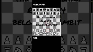 tal vsavarbakh 1954chess شطرنج belgradegambit sacrifice grandmaster tactics  25p1 [upl. by Erialb61]