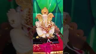 Ganpati Deco Review 🙏🏻🙏🏻😃😃 [upl. by Eiramaneet]