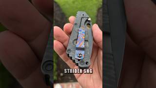 Old amp New Strider SNG Knives edc youtubeshorts shorts blade knife [upl. by Kobe57]