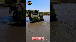 Paddy cultivation machine shorts viral kubota agriculture khetibadi [upl. by Norvan]