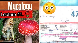 Basic mycology 🛑 LECTURE 1 Chap 47 Difference between fungi and bacteria hyphaeyt Lab diagnosis [upl. by Notsag840]