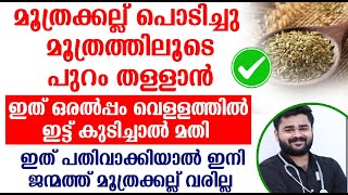 മൂത്രക്കല്ല് പൊടിച്ചു മൂത്രത്തിലൂടെ പുറം തള്ളാൻ ഇത് ഒരൽപ്പം വെള്ളത്തിൽ ഇട്ട് കുടിച്ചാൽ മതി [upl. by Amado]