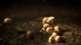 Popcorn popping in slow motion [upl. by Aikaj874]