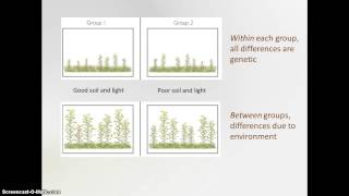 Heritability [upl. by Lincoln]