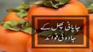 Top benefits of Japani phal fruitrozana ek japani fal khane ke fayde [upl. by Hadria186]