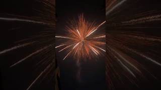 Sonny fireworks xmen trending crackers firecracker 2024 fireworks viralvideo diwalicrackers [upl. by Llertnek]