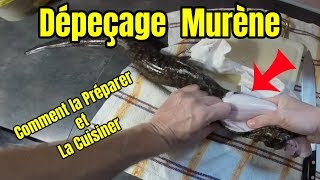 TUTO  Dépeçage de la Murène  la préparer et la cuisiner [upl. by Dnanidref13]