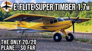 First Look NEW Eflite Super Timber 17m [upl. by Ynnatirb]