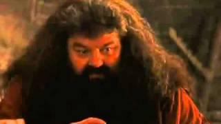 Rubeus Hagrid Origins Explained [upl. by Hance]