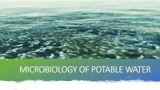 MICROBIOLOGY OF POTABLE WATER [upl. by Haldan]