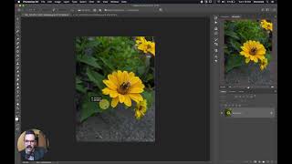 Resizing and cropping an image to print on a 4x6 printer [upl. by Hochman]