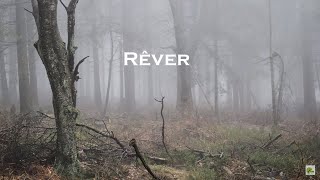 Rêver  Mylène Farmer Paroles 4K [upl. by Moll]