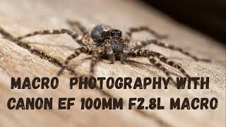 Macro Photography with Canon 5d mark2 and EF 100mm f 28 L macro [upl. by Ettenaej940]