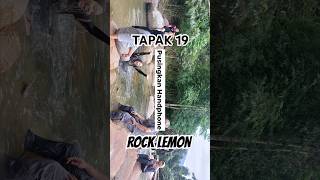 ROCK LEMON CAMPSITE 19 [upl. by Enomes]