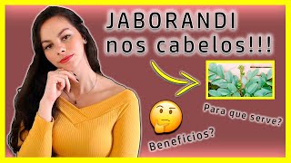 Benefícios do JABORANDI para os CABELOS Elisa Miranda [upl. by Emerald]