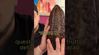 Ho deciso di provare a produrre il MIO CIOCCOLATO Parte 1 food shorts [upl. by Dianuj]