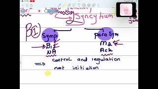 CVS Physiology  Physiology of Cardiac Muscle I  Mutah [upl. by Linehan724]