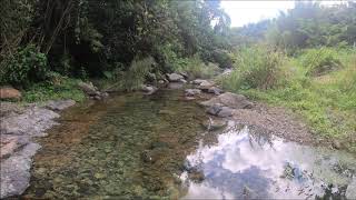 Charco Las Losetas  Adjuntas Puerto Rico [upl. by Tohcnarf]