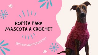 CÓMO TEJER UNA ROPITA A CROCHET PARA TU MASCOTA  CROCHET CON KARU [upl. by Hilaire825]