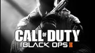 COD BO2 Launch fix 100 working Windows 10 Cracked version [upl. by Eirrahs]