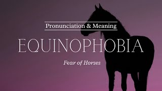 How to Pronounce Equinophobia  British Pronunciation amp Meaning [upl. by Oer]