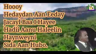 Heestii Waan Ku Haybin lyrics [upl. by Surovy596]